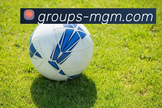 美高梅官网发展历程